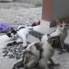 Ilkay_topkara8181 - @ilkay_topkara8181 - TikTok