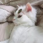 @ilkaytoprak - Instagram