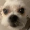 ilke - @ilke_van_pee - TikTok