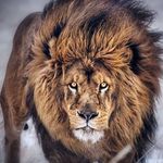 İlker İnanç - @ilker.inanc.36 - Instagram