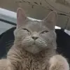 ilker Şan - @ilker.an4 - TikTok