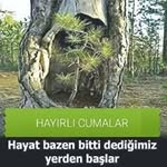 iLKER YILDIZ - @fy595192 - Instagram