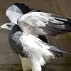 ilkoiliev425 - @ilkoiliev425 - TikTok