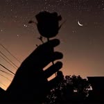 Илья - @_illa_king_ - Instagram