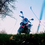 Illa King - @illiakononovich - Instagram