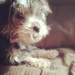 love - @amillyajohnson16 - Instagram