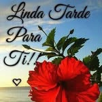 Iluminada Diaz Morales - @candy26_store - Instagram