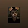 Bobrov Ilya_💀☠️ - @bobrov.ilya_ - TikTok