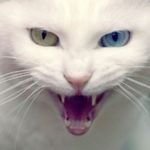 Ilya Bobrov - @ilya.bobrov.kand.7821 - Instagram