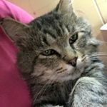 Ilya Bobrov - @magritt.ilya.6308.bobrov - Instagram
