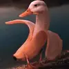 ilyakovalenko16 - @iiya.kovalenko - TikTok