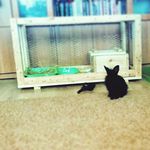 Чибирев Илья - @ilya_and_krolya - Instagram