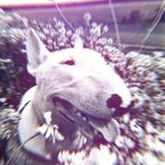 Ilya Krol - @kapitohkaua - Instagram