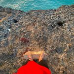 Ilya Lebedev - @ilya.lebedev - Instagram