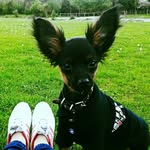 ilyanemtsov21.05 - @ilyanemtsov21.05 - Instagram