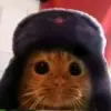 user2605631847049 - @ilya.oparin - TikTok