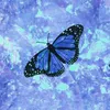 dilya_rustamovna - @dilya_rustamovna - TikTok