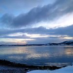Ilya Rybakov - @around_the_wood_mood - Instagram