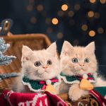 Илья - @ilya__sobolev - Instagram