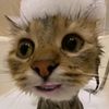 Ilya sobolev - @is211453r73 - TikTok