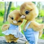 Abdullah - @ilyas_abdullah_ - Instagram