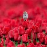 Ilyas Abdullah - @ilyasabdullah82 - Instagram