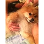 IlyasBrown - @ilyasbrown4 - Instagram