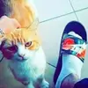 ilyas El - @ilyas_____el - TikTok