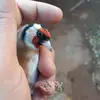 Ilyas Mohammad - @ilyas.mohammad52 - TikTok