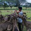 Ilyas Usman - @2137158000 - TikTok