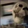 elyse link - @apple.lover69 - TikTok