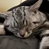なーみ - @ima__hogg - TikTok