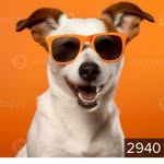 Imma Wright - @ima.wright.2026 - Instagram