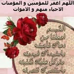 Iman Soliman - @dr.iman_ibrahim - Instagram