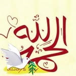 Iman Soliman - @iman.soliman.96 - Instagram