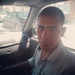 iman mirshekar - @iman_white.horse - Instagram