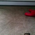Imani Bradley - @imani.bradley.35 - Instagram