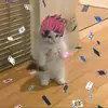 Imani Roberts - @imaniroberts07 - TikTok