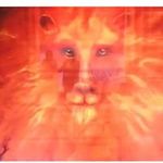 Imelda Barrón - @imelda.barron.49 - Instagram