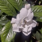 María Imelda Barrón Obregon - @barronobregon - Instagram