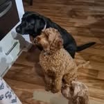 Imelda Corcoran - @corcoranimelda - Instagram