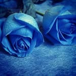 imeldacoxcahua - @imeldacoxcahua - Instagram