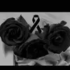Imelda Galindo - @imelda.galindo3 - TikTok
