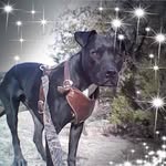 Imelda Garcia Holguin - @imeldagarciaholguin - Instagram