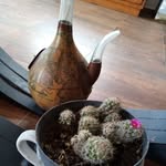 Imelda Islas - @gonzalezimeldaislas - Instagram