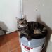 Imelda Islas - Facebook