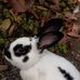 Imelda Jacob - Facebook