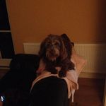 Imelda Kingston - @imeldakingston - Instagram