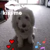 imeldadierking_12 - @imeldadierking_12 - TikTok