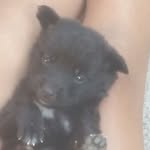 Ronald Cruz - @imelda.landaverde.942 - Instagram